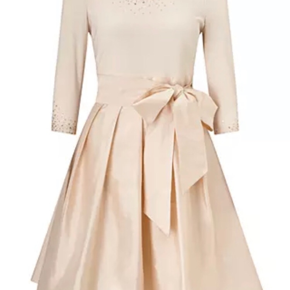 Adrianna Papell gorgeous evening/cocktail dress
